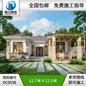 新農(nóng)村一層經(jīng)濟(jì)型自建別墅設(shè)計(jì)圖紙及效果圖_農(nóng)村平房別墅圖紙,鼎川建筑