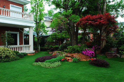 別墅植物花卉選擇禁忌與注意事項