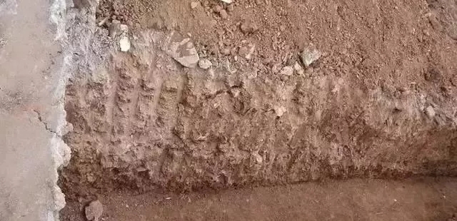 小成本就能蓋大別墅，你還在猶豫什么呢?